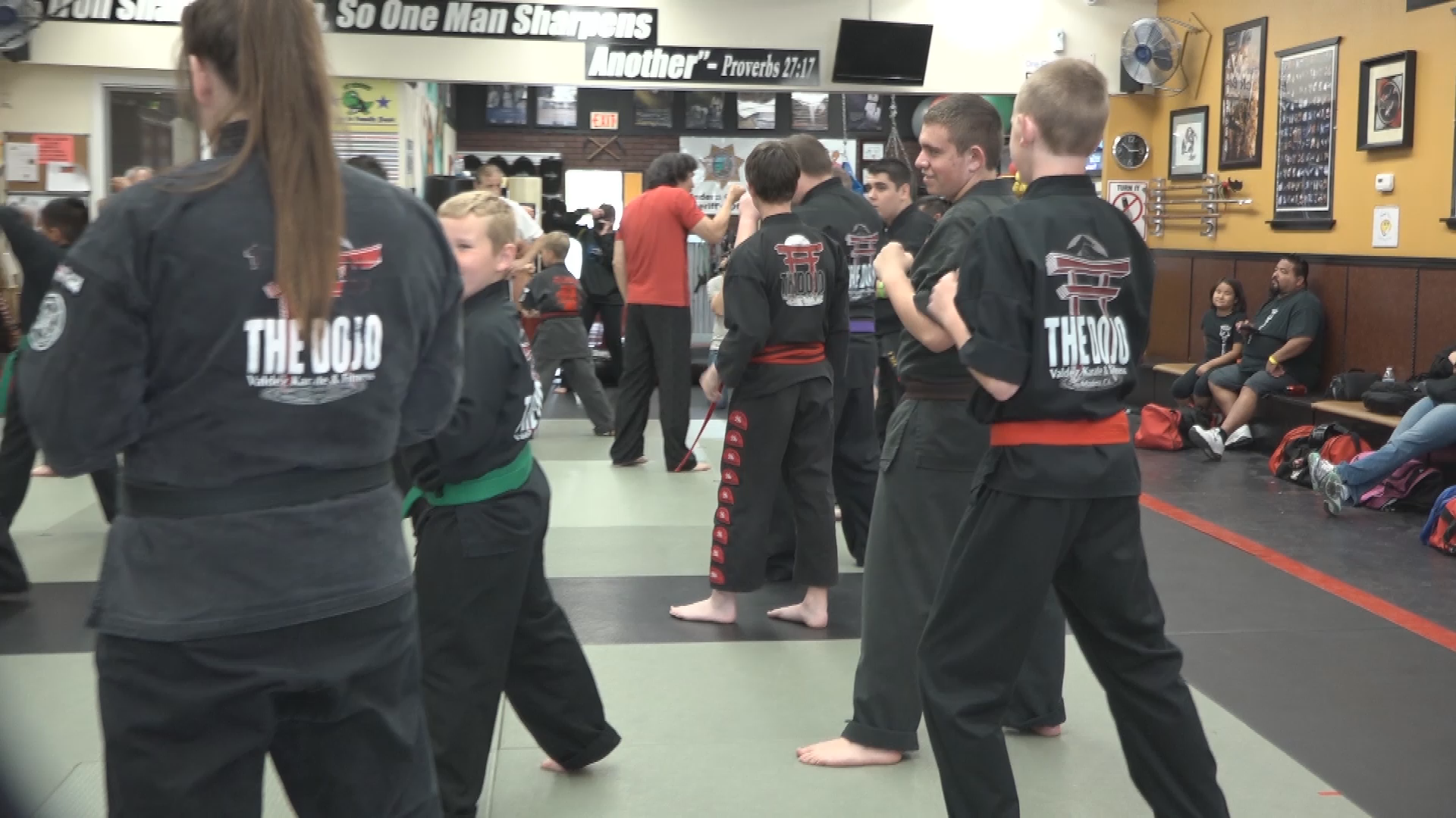 Thumbnail image for Martial Arts Mania!
