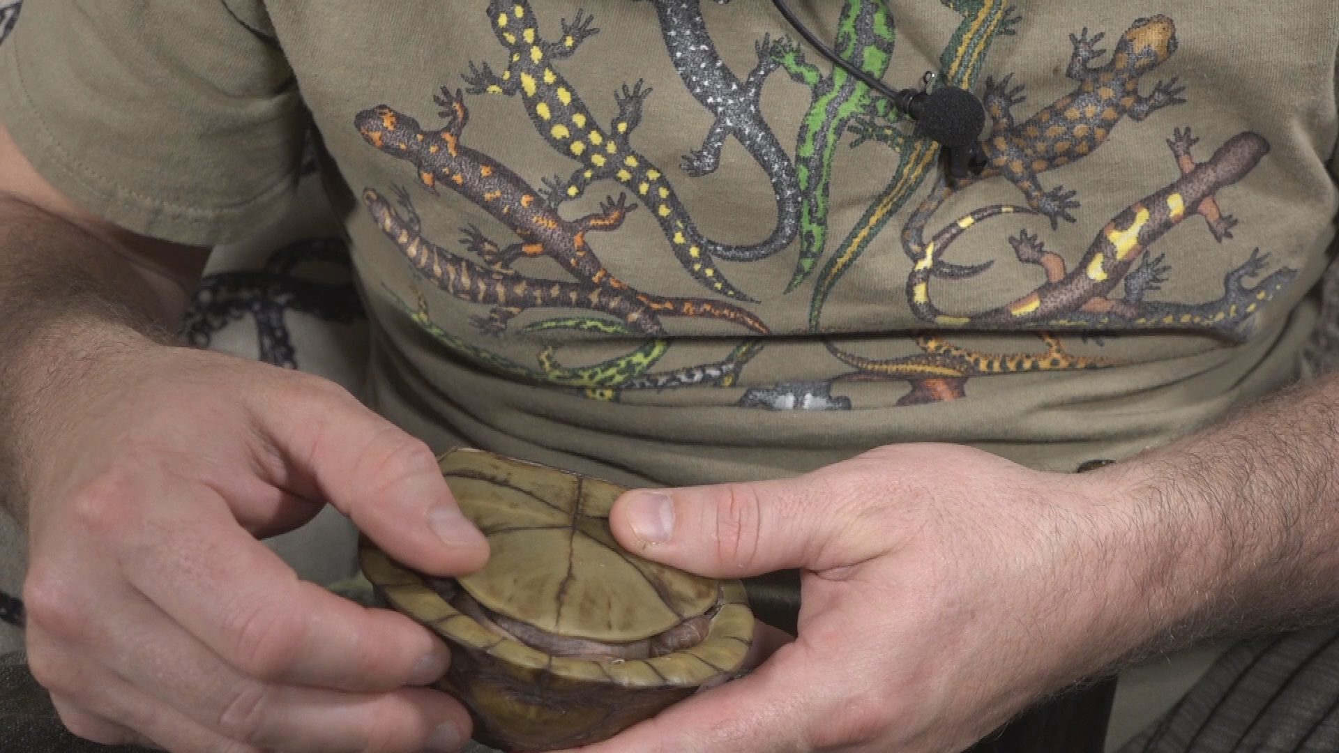 Thumbnail image for Reptile Dysfunction