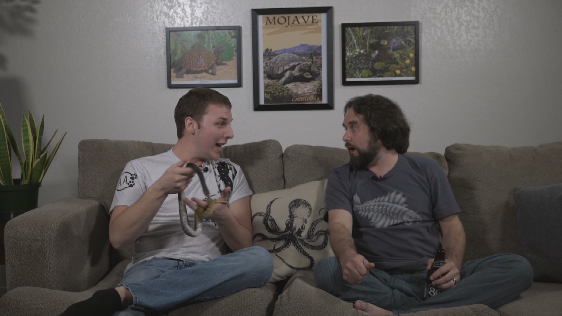 Thumbnail image for Reptile Dysfunction