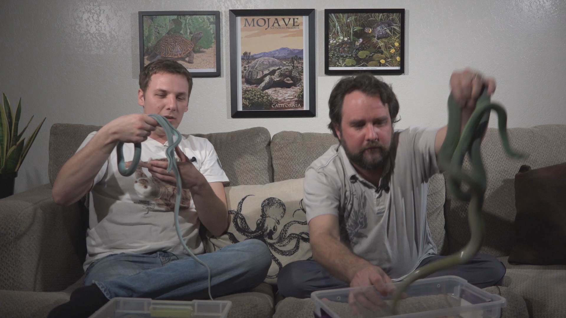 Thumbnail image for Reptile Dysfunction